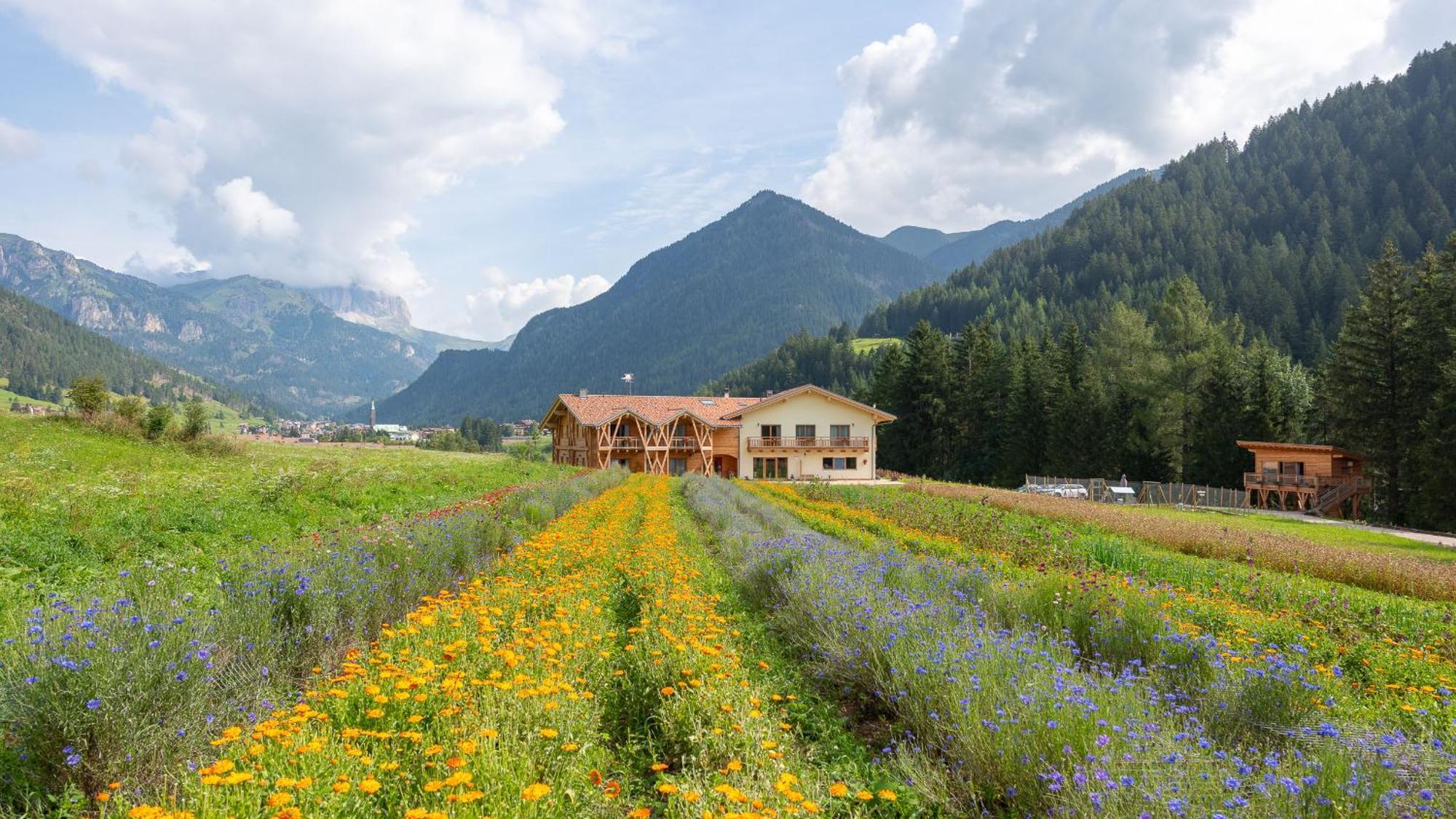 ויגו די פאסה Eco-Green Fiores Agriturismo מראה חיצוני תמונה